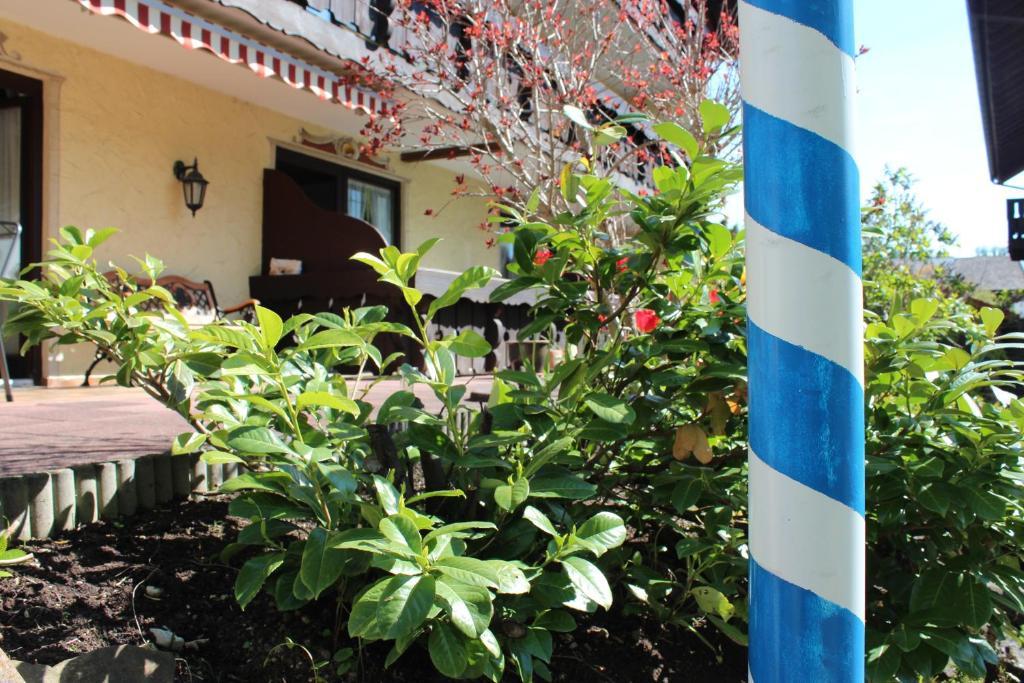 Birkenhof Pension Mit Herz Pfronten Extérieur photo